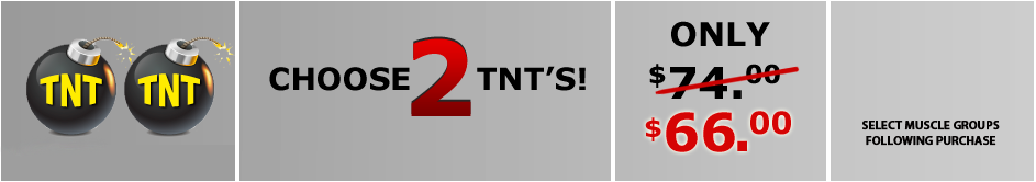 TNT-2